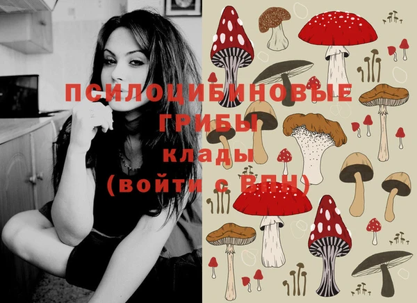 а пвп мука Карпинск