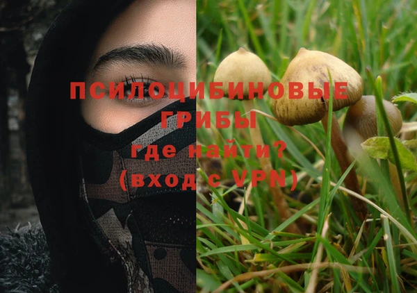 прущая мука Медногорск