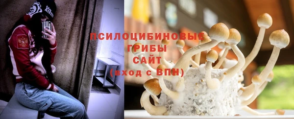 соль курить ск Медвежьегорск
