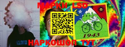 МДМА Гатчина