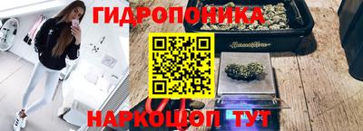 МДМА Гатчина