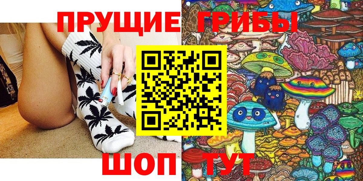 купить   Псилоцибиновые грибы Magic Shrooms  Вход с VPN  Россия 