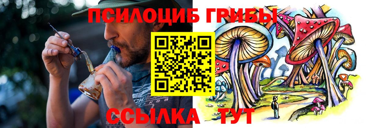 Россия  Галлюциногенные грибы Psilocybine cubensis  Галлюциногенные грибы Magic Shrooms  Вход с VPN 